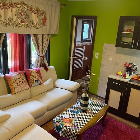 Villa Miris Dunja Zlatibor Exteriör bild