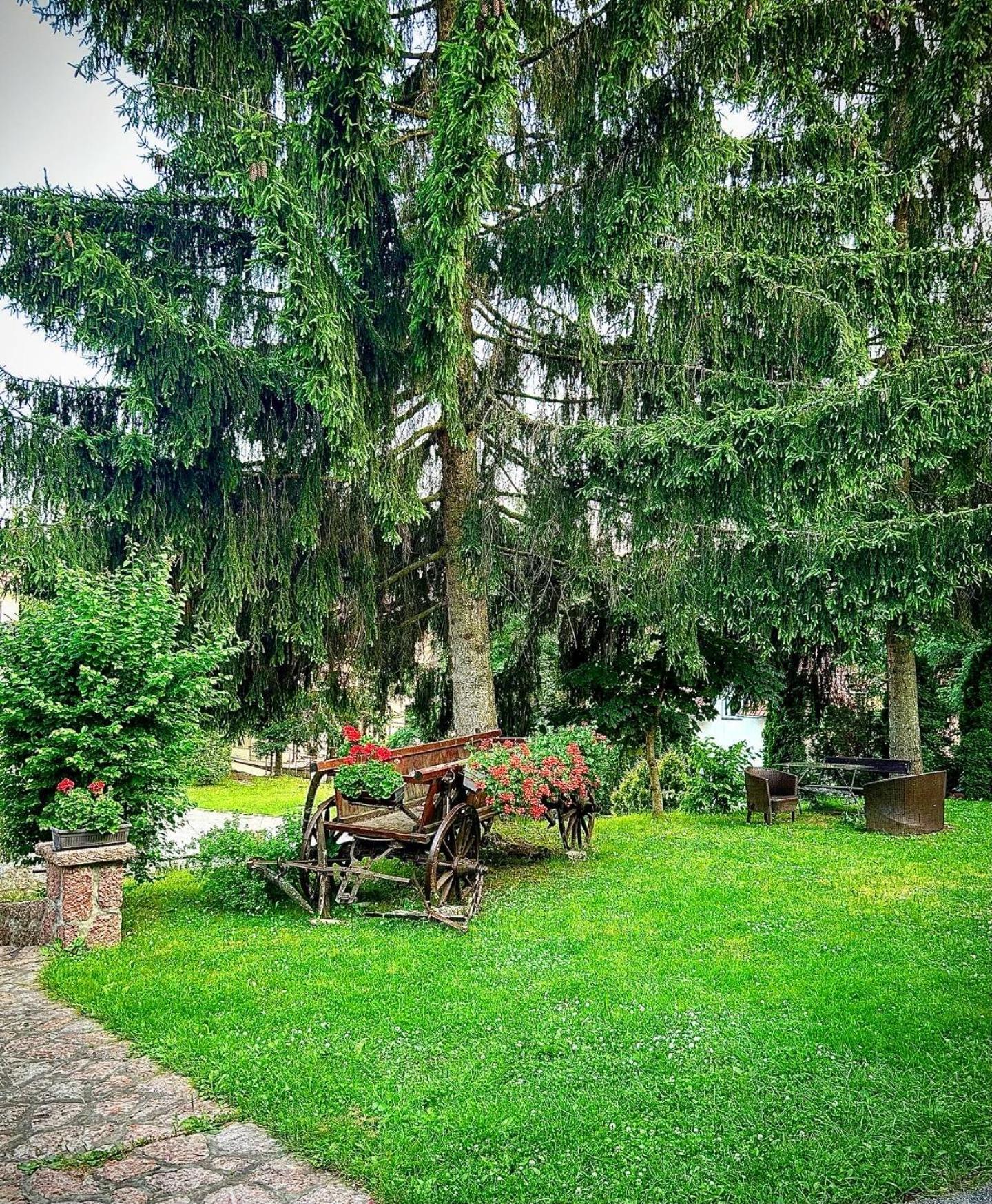 Villa Miris Dunja Zlatibor Exteriör bild