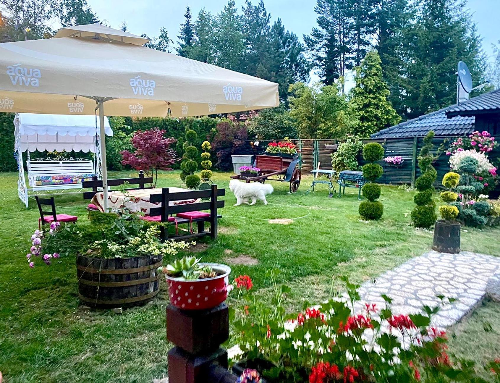 Villa Miris Dunja Zlatibor Exteriör bild