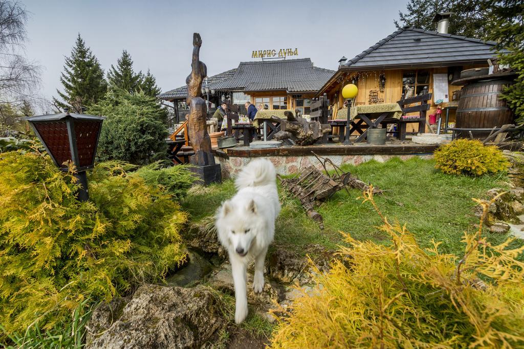 Villa Miris Dunja Zlatibor Exteriör bild