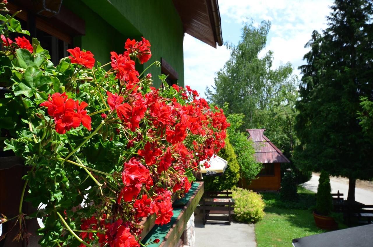 Villa Miris Dunja Zlatibor Exteriör bild