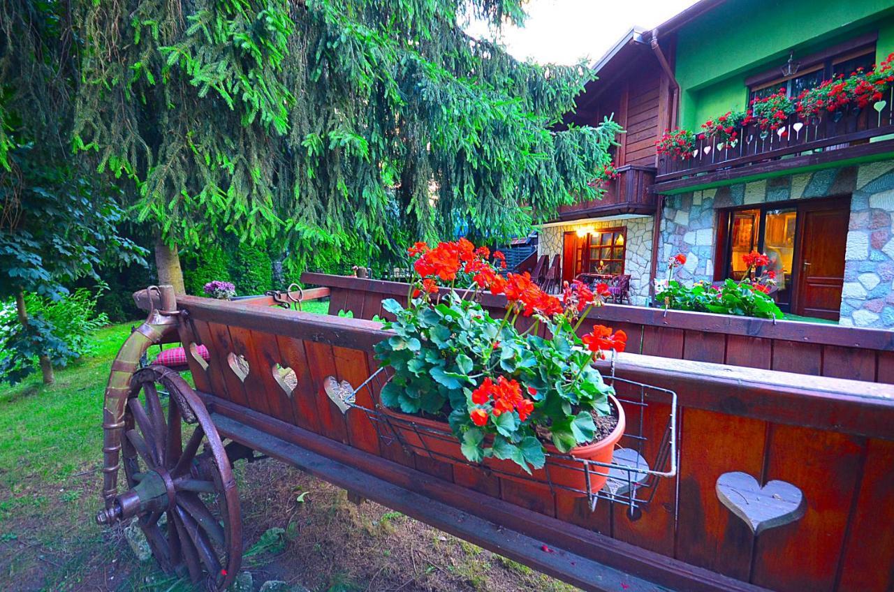 Villa Miris Dunja Zlatibor Exteriör bild